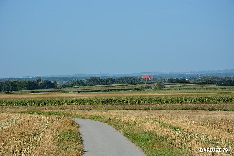 EuroVelo 11- Wawrowice (Widok w stronę Wiślicy)