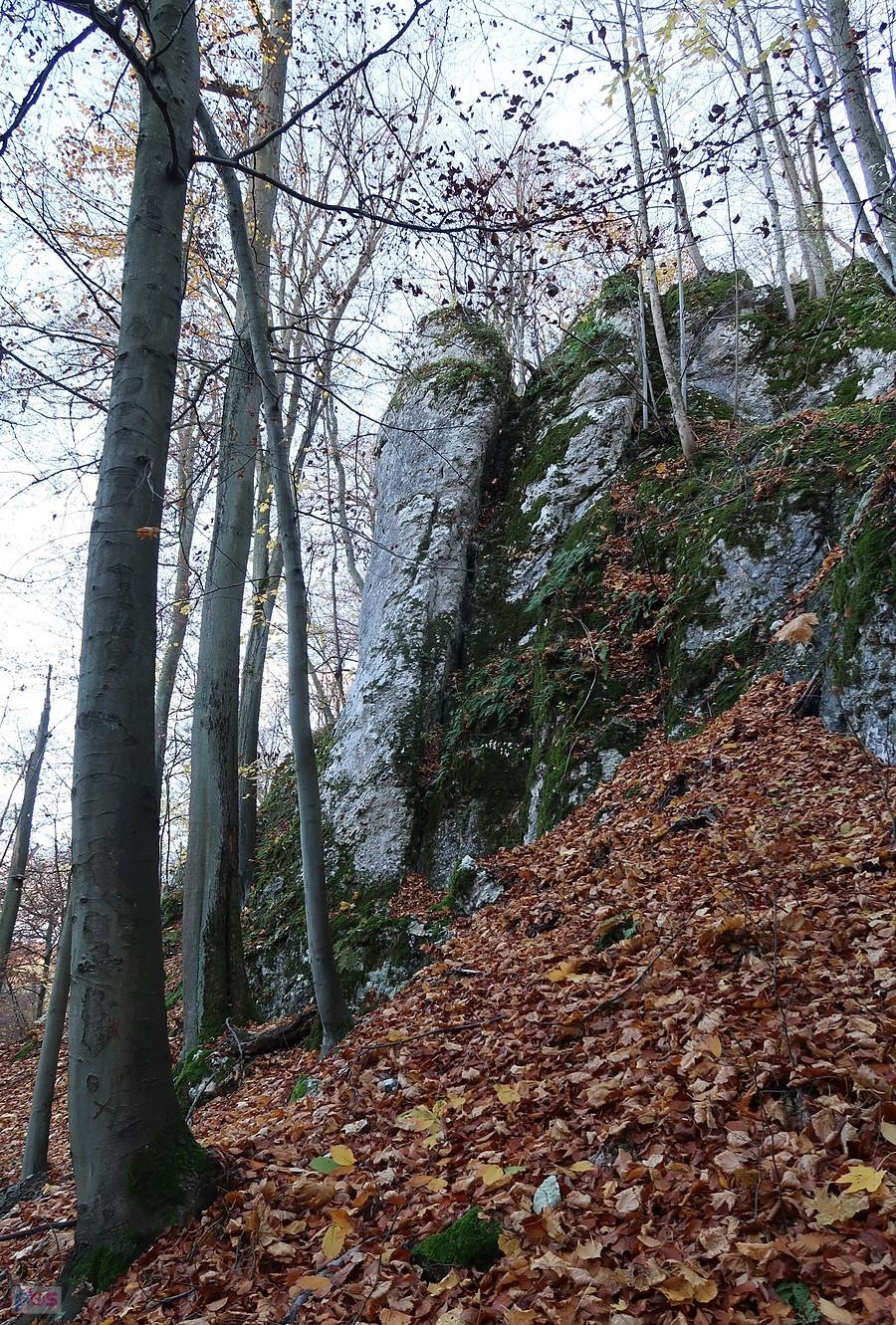 Sokola Baszta