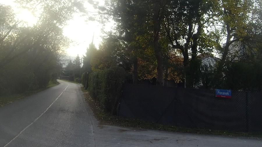 Mroźny Poranek na Wilanowie