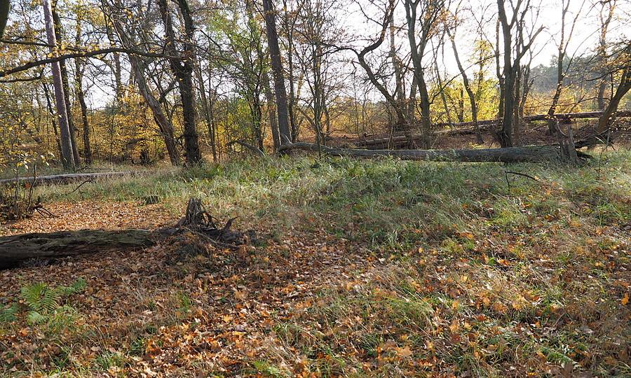 Grądzkie, majdan