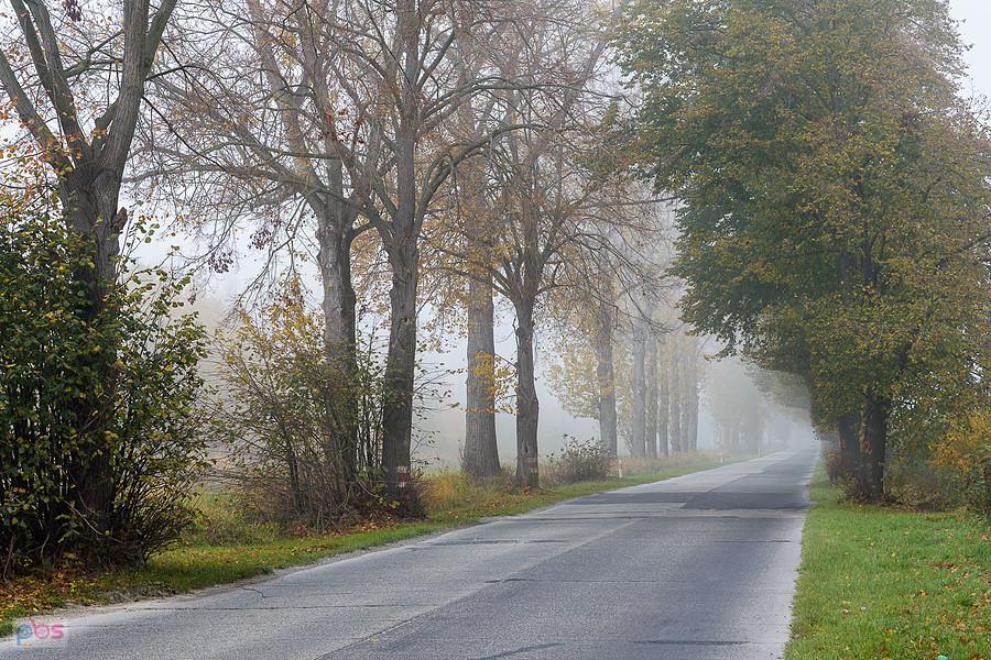 DW 382 w miejscowości Mrokocin - to już województwo dolnośląskie