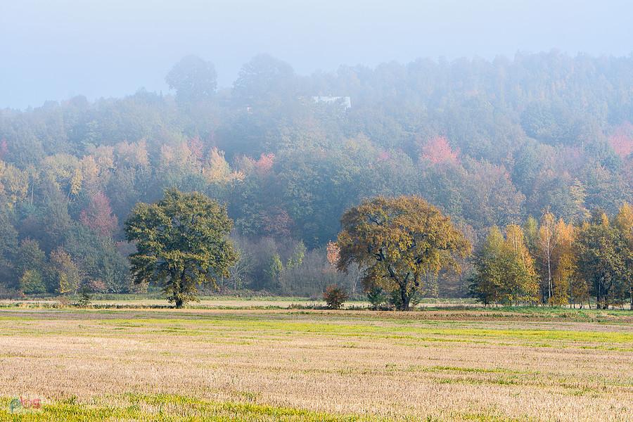 Pomianów Górny