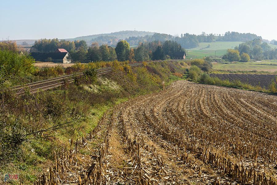 Podsudecka Magistrala Kolejowa w Doboszowicach, szlak Kamieniec Ząbkowicki - Paczków