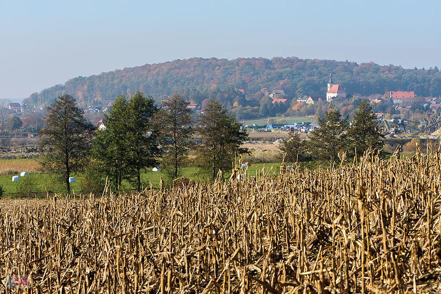 Doboszowice - widok w kierunku miejscowości Byczeń