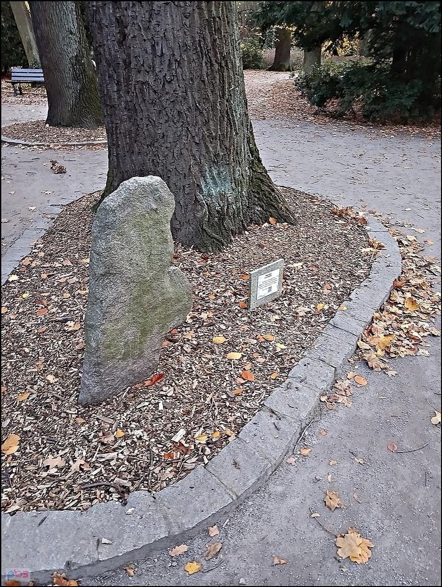 Krzyż pokutny przy kościele św. Jana Nepomucena w Parku Szczytnickim