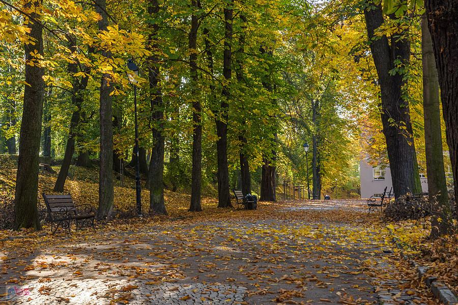 Paczków - Zabytkowe Planty Miejskie