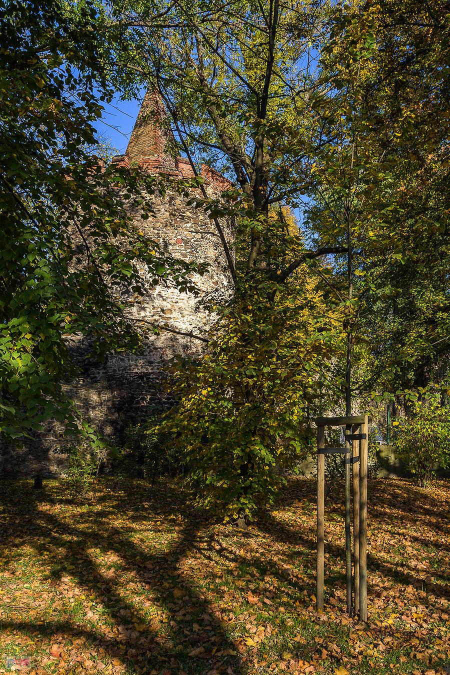 Paczków - jedna z wież murów obronnych