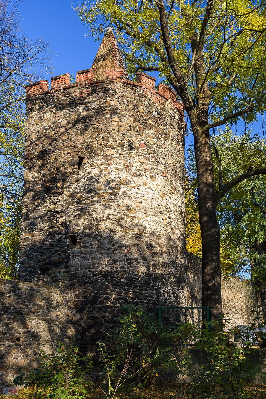 Paczków - jedna z wież murów obronnych