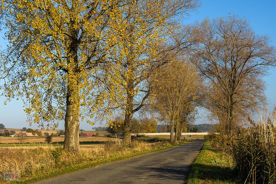 Pomianów Dolny