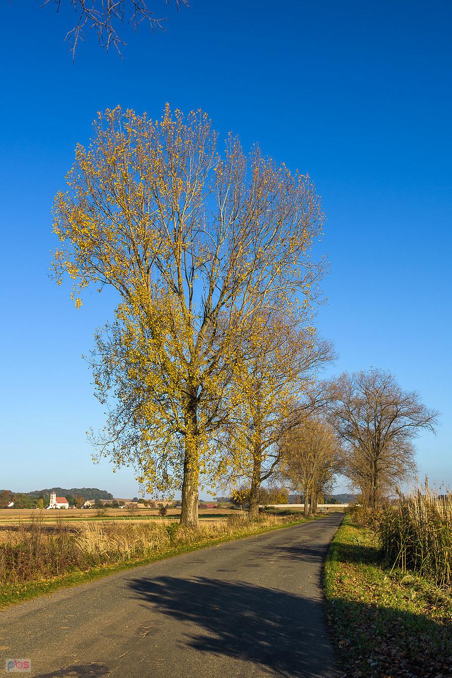 Pomianów Dolny