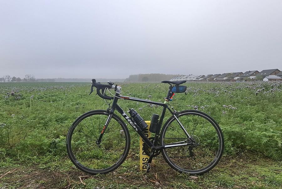 Rowerówka zamglona