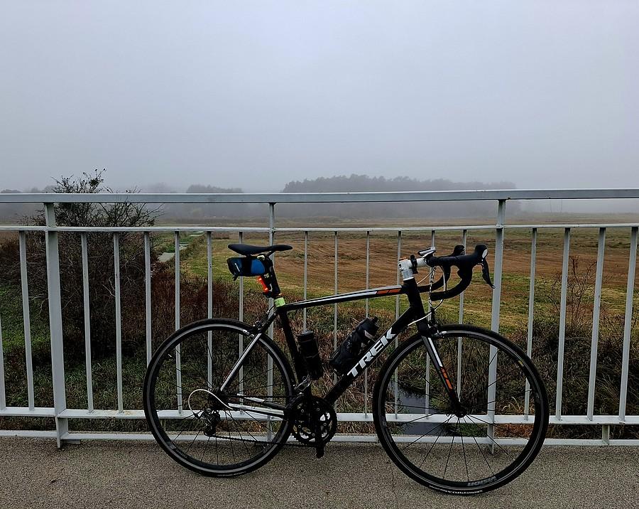 Mglista rowerówka
