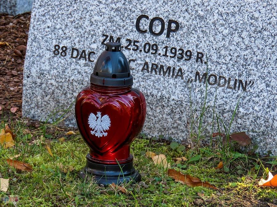 Żołnierz Armii Modlin