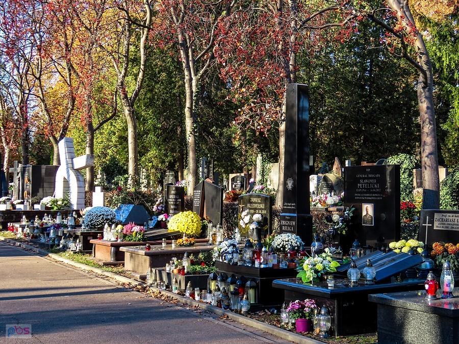 Aleja Zasłużonych