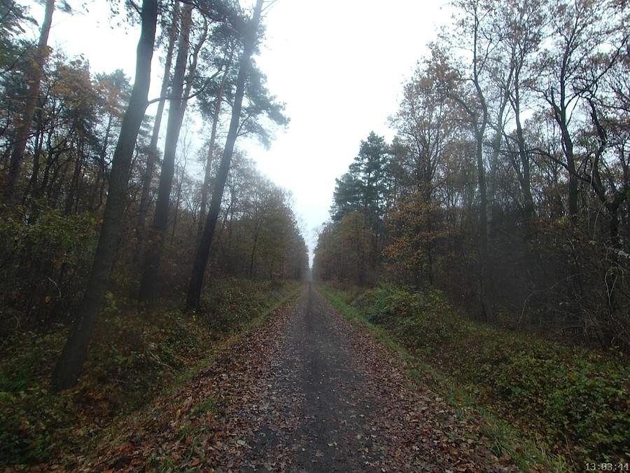 Uroczysko Chlebów