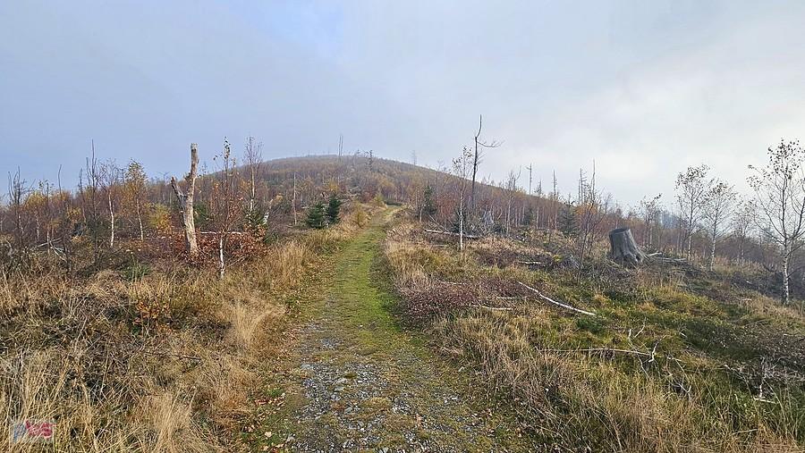 Widok na Srebrną Kopę, czerwony szlak