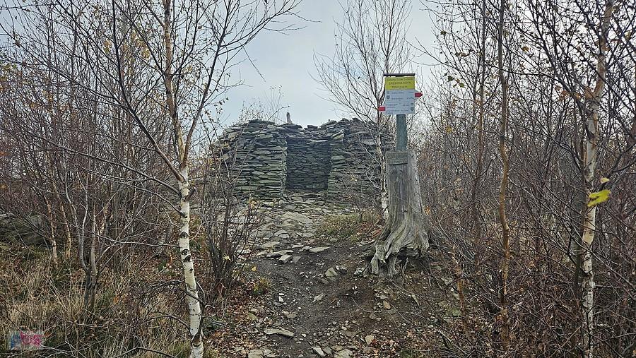 Szczyt Srebrnej Kopy (785 m n.p.m.)