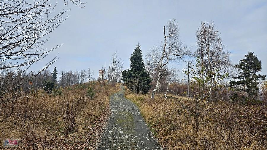 Widok na Biskupią Kopę od strony Czeskiej