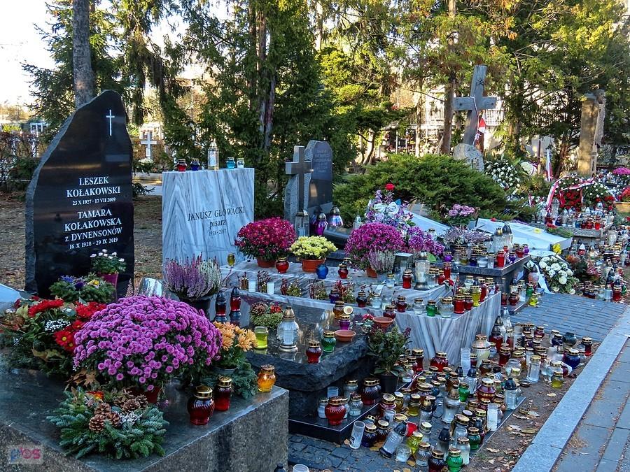 Nowa Aleja Zasłużonych