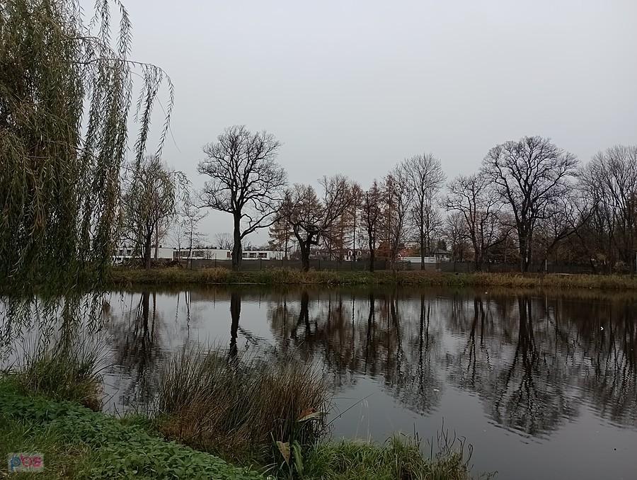 Staw w Ołtarzewie