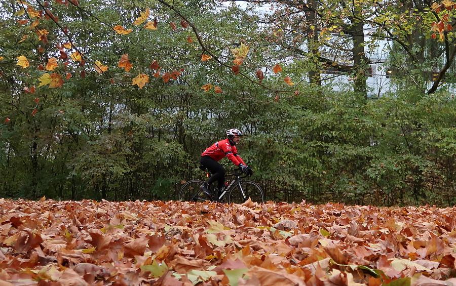 Listopadowe ujęcie z uszosowionym MTB-owcem :)