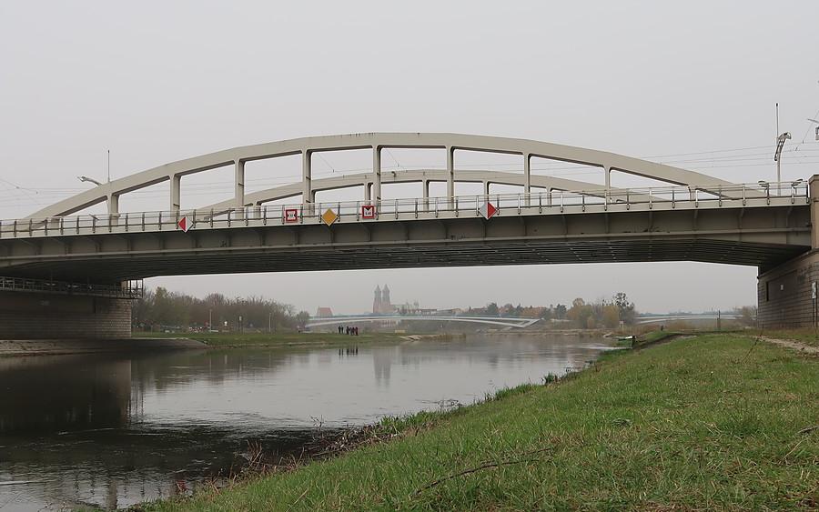Nad Wartą. W głębi widoczna nówka Kładka Berdychowska