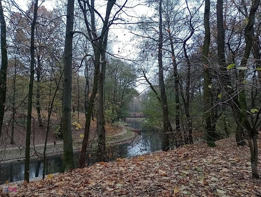 Jesienna fosa w parku