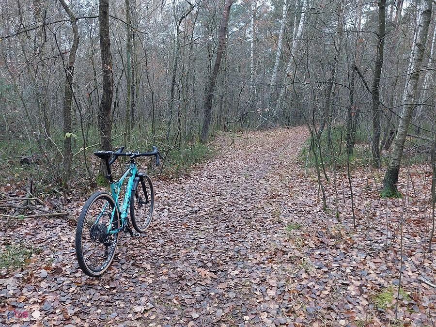 GT Grade Carbon X