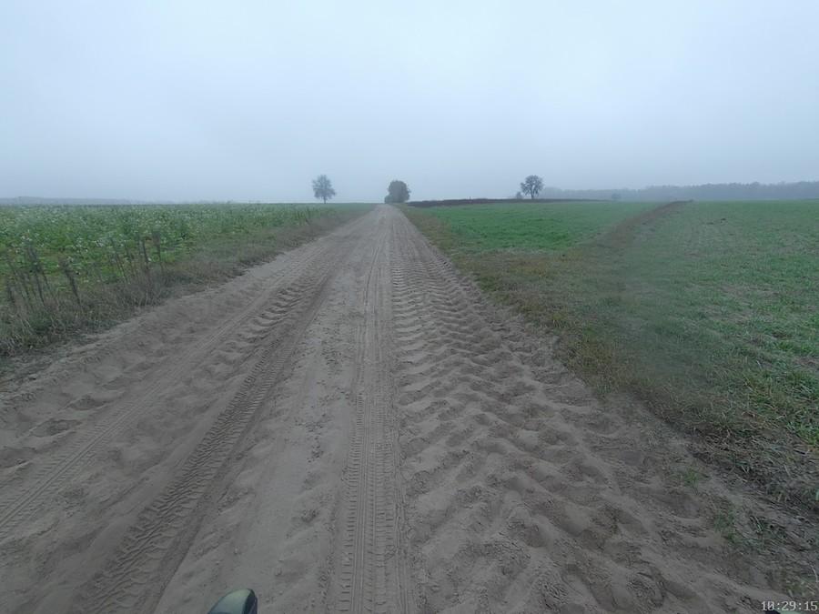 Mazowieckie piochy