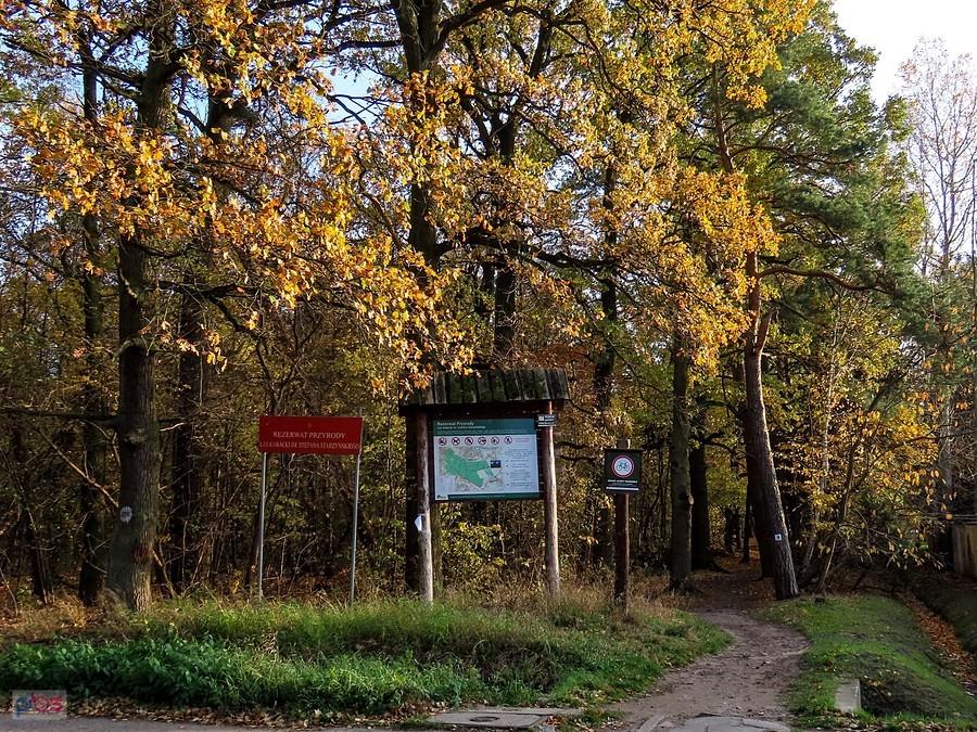 Dalej już nielegalnie