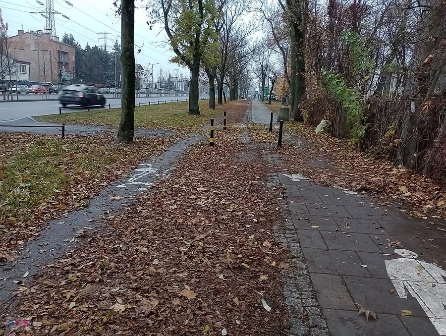 A tu, podobnie jak na całym odcinku Połczyńskiej, liście z chodnika zmietli na ddr. Powinno się to gdzieś zgłosić