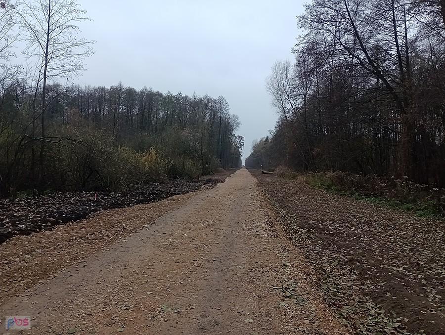 Leśna droga wzdłuż gazociągu