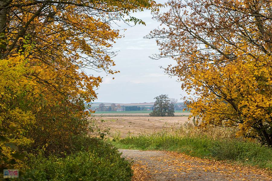 Łąka Prudnicka