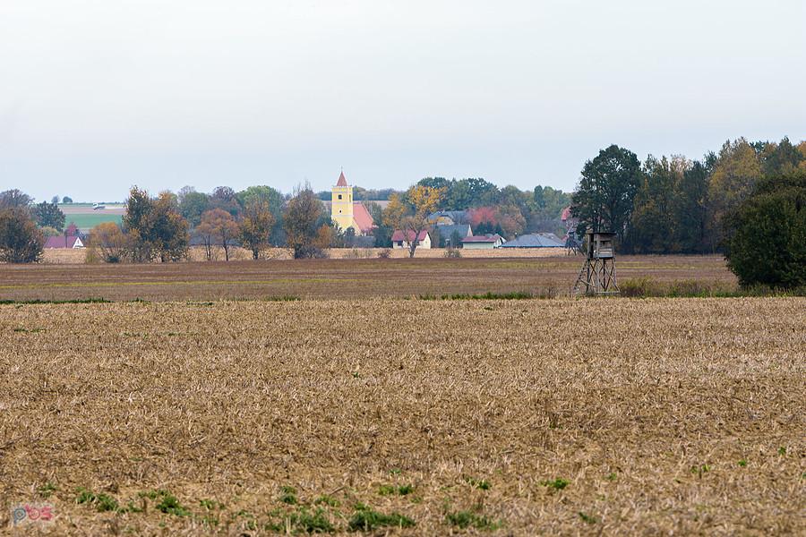Łąka Prudnicka i widok w kierunku Niemysłowic