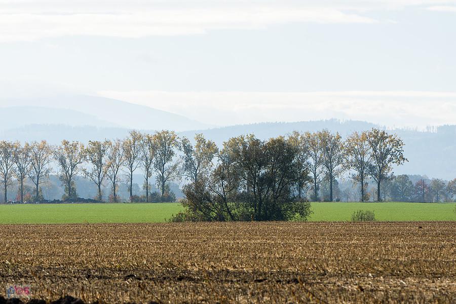 Szybowice - widok na pasma Sudetów