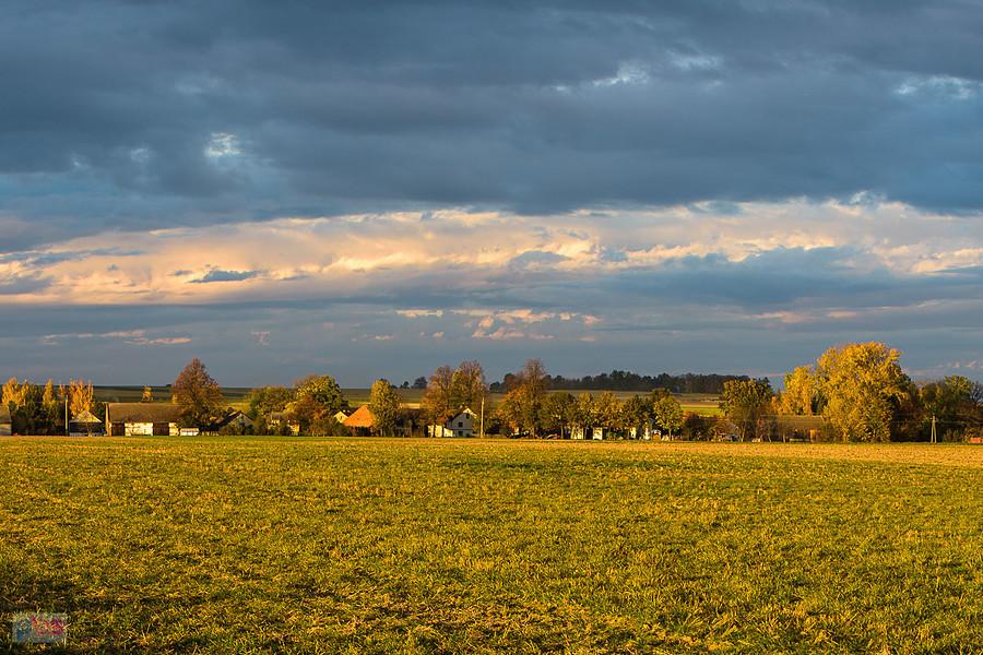 Szybowice