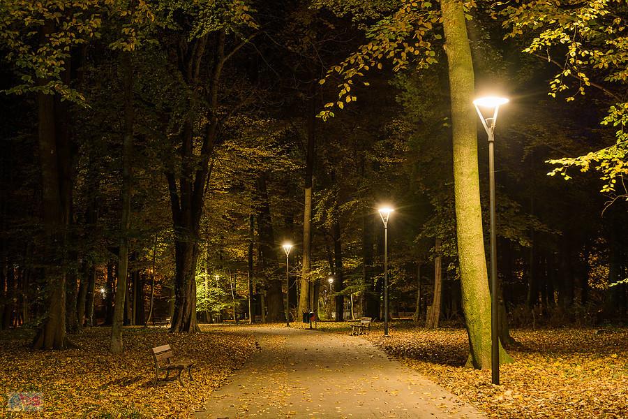 Park miejski w Prudniku