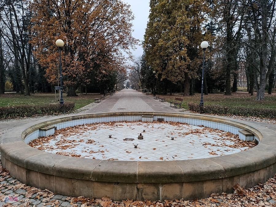 Jesień w parku
