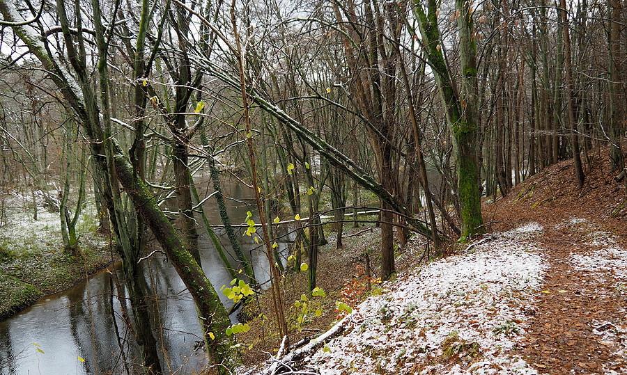 Użytek ekologiczny