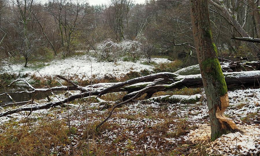Nad Obrą z przeszkodami