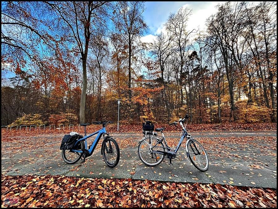 rowerki na promenadzie