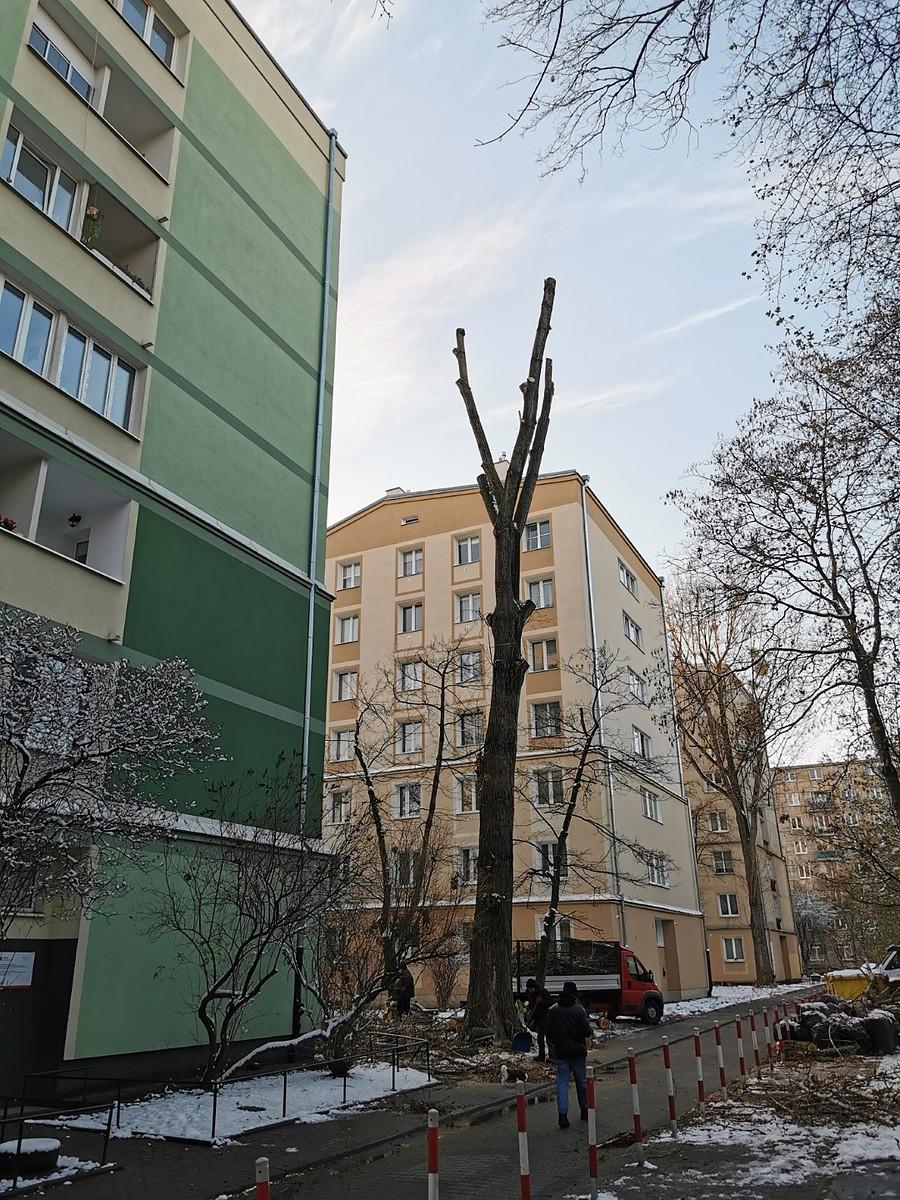 "(...)Gdzie szumiące topole, biją w niebo wysoko(...)"