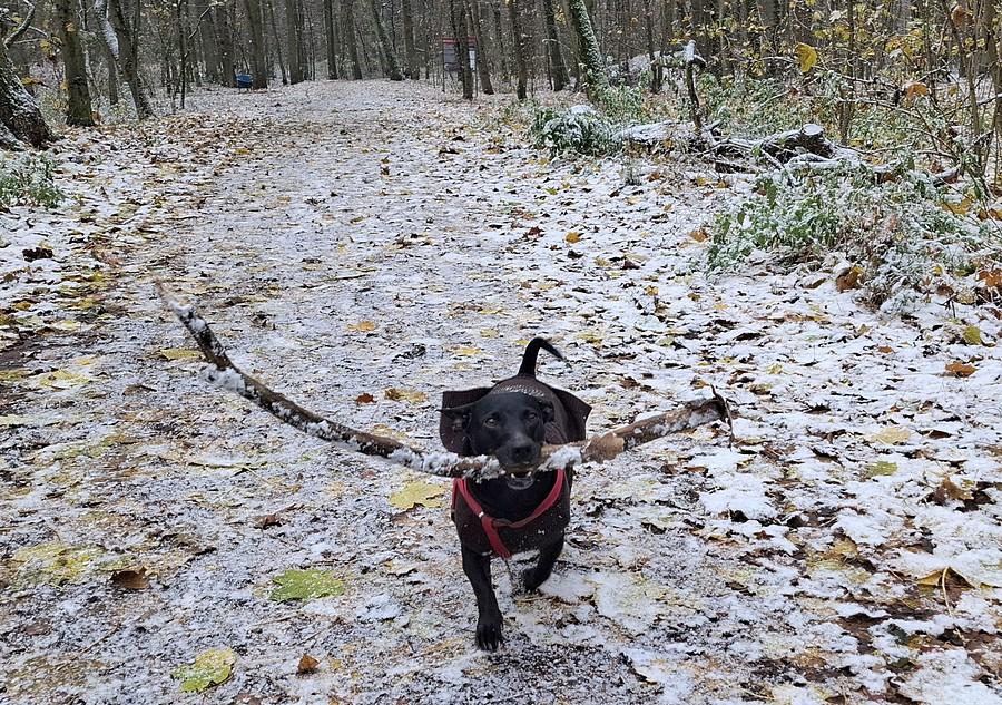 Kropa lubi śnieg