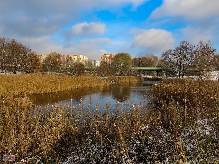 Staw Kaczeńcowy Dolny - widok w kierunku wschodnim
