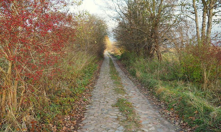 Dawny wylot z miasta do Jezierc i Świniar