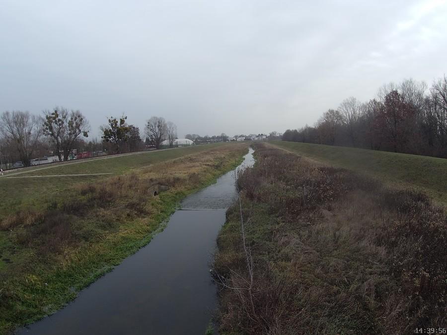 Jeziorka w Bielawie