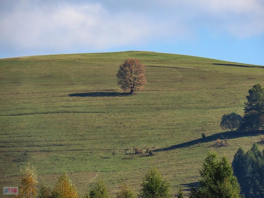 Widok z okna
