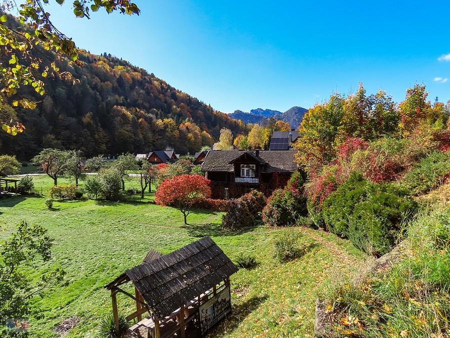 Szczawnica - pod Palenicą