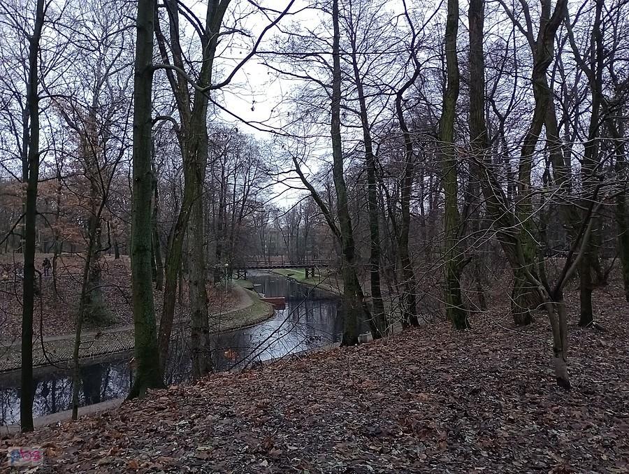 Fosa w parku na Forcie Bema