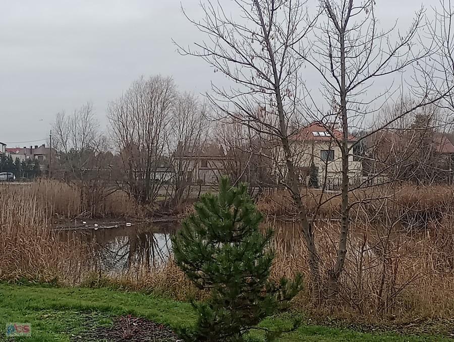 Staw przy Hubala Dobrzańskiego